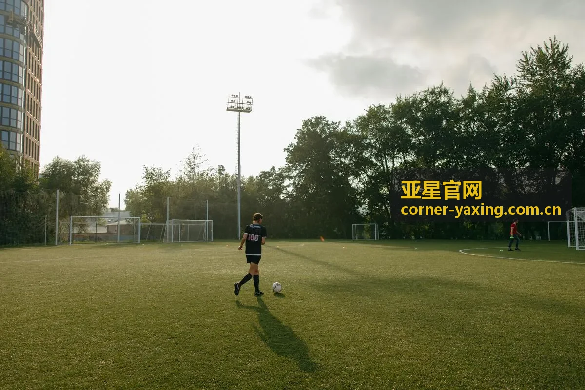 亚星官网联系咨询栏目预览
